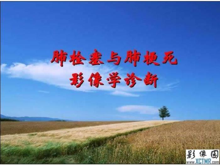 【醫學PPT課件】肺栓塞與肺梗死的影像學診斷_PPT課件
